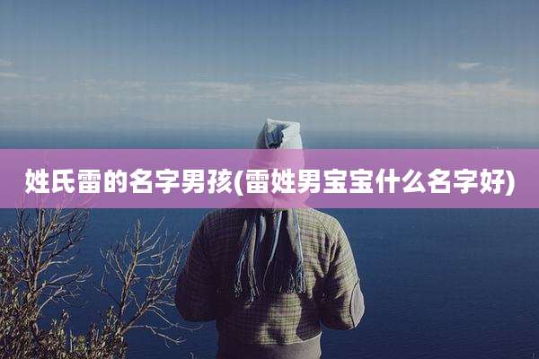 姓氏雷的名字男孩(雷姓男宝宝什么名字好)