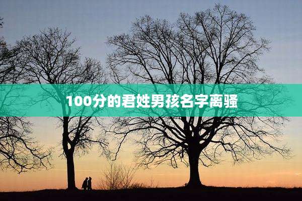 100分的君姓男孩名字离骚
