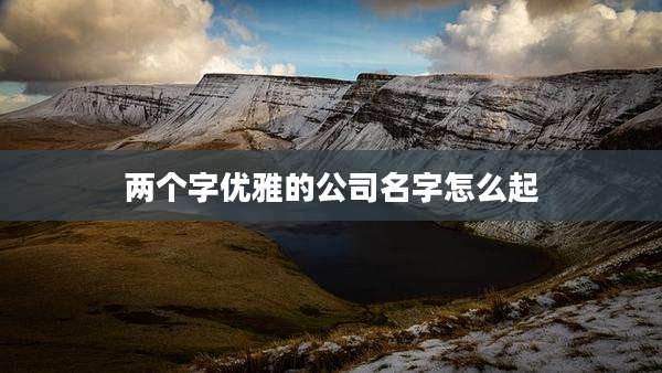 两个字优雅的公司名字怎么起