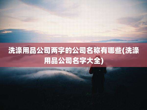 洗涤用品公司两字的公司名称有哪些(洗涤用品公司名字大全)