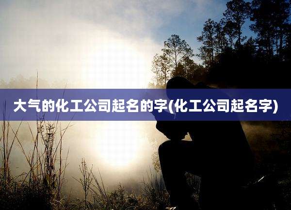 大气的化工公司起名的字(化工公司起名字)