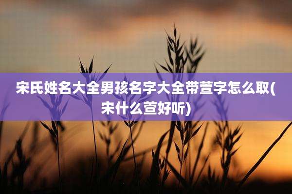 宋氏姓名大全男孩名字大全带萱字怎么取(宋什么萱好听)