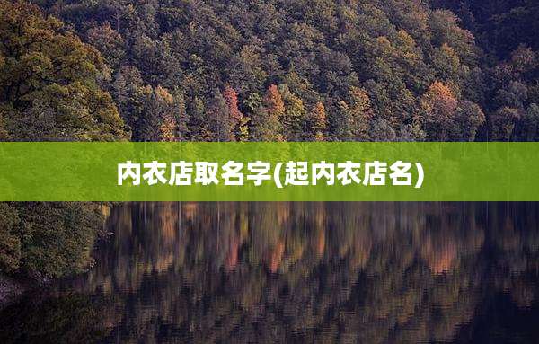 内衣店取名字(起内衣店名)