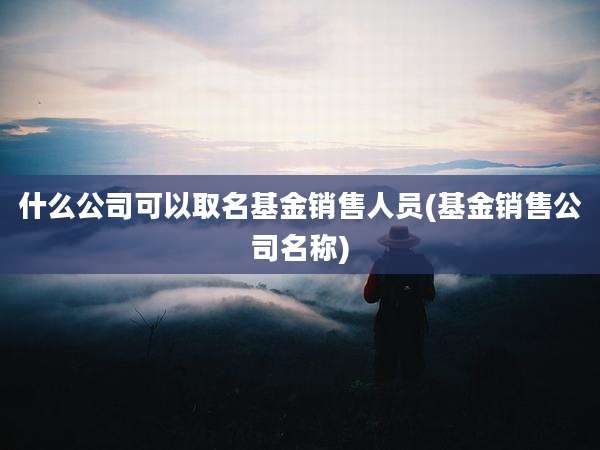 什么公司可以取名基金销售人员(基金销售公司名称)