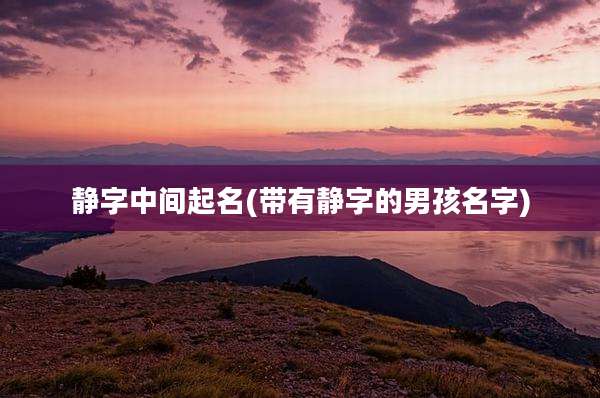 静字中间起名(带有静字的男孩名字)