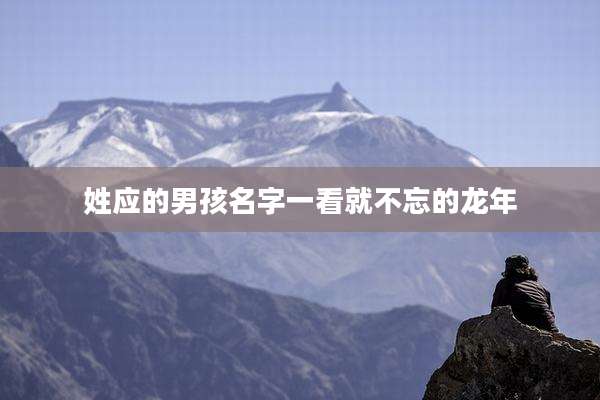 姓应的男孩名字一看就不忘的龙年