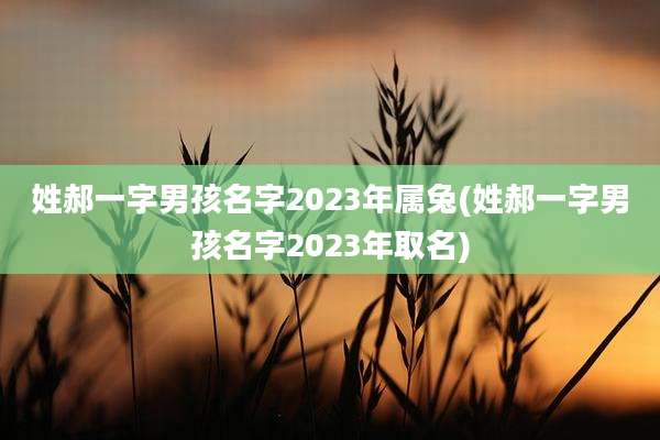 姓郝一字男孩名字2023年属兔(姓郝一字男孩名字2023年取名)
