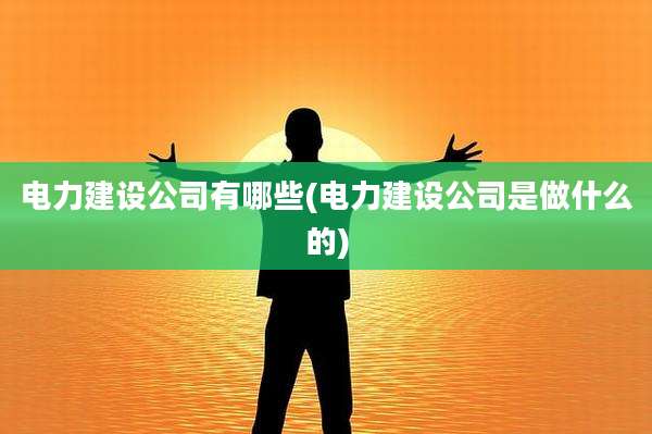 电力建设公司有哪些(电力建设公司是做什么的)