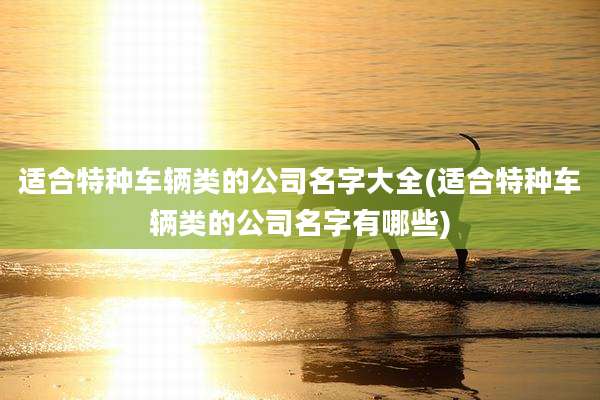 适合特种车辆类的公司名字大全(适合特种车辆类的公司名字有哪些)