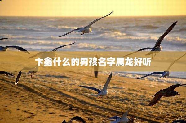 卞鑫什么的男孩名字属龙好听