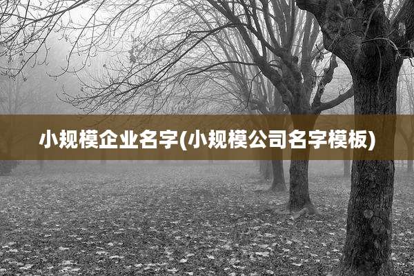 小规模企业名字(小规模公司名字模板)
