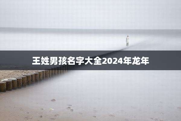 王姓男孩名字大全2024年龙年