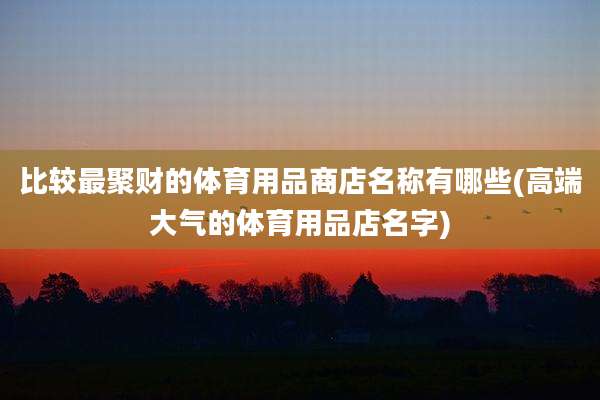 比较最聚财的体育用品商店名称有哪些(高端大气的体育用品店名字)