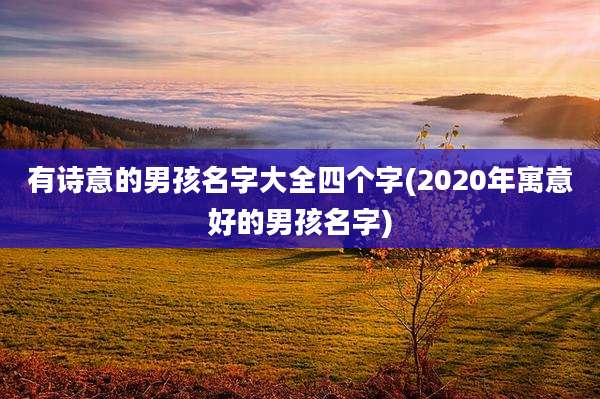 有诗意的男孩名字大全四个字(2020年寓意好的男孩名字)