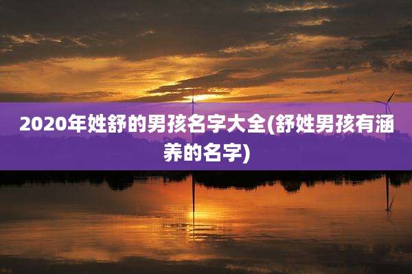 2020年姓舒的男孩名字大全(舒姓男孩有涵养的名字)