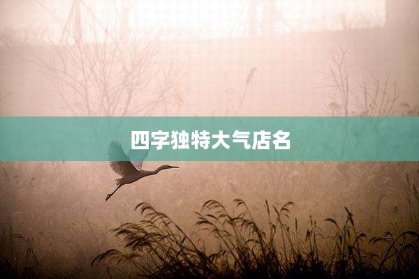 四字独特大气店名
