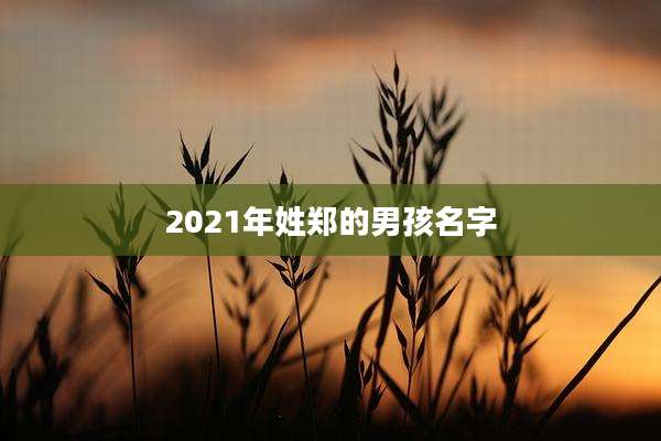 2021年姓郑的男孩名字