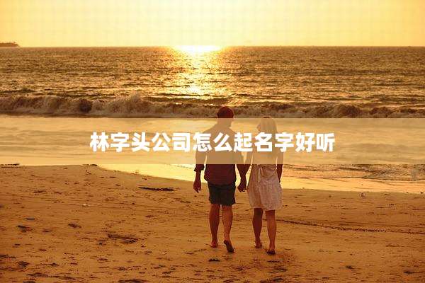 林字头公司怎么起名字好听