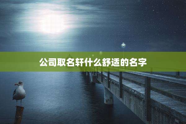 公司取名轩什么舒适的名字