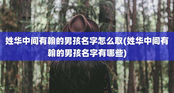 姓华中间有翰的男孩名字怎么取(姓华中间有翰的男孩名字有哪些)