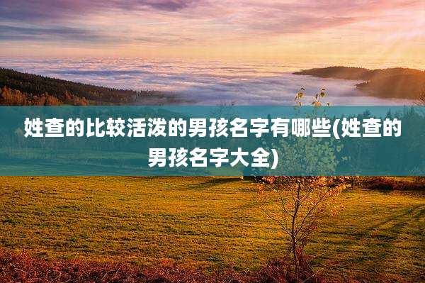 姓查的比较活泼的男孩名字有哪些(姓查的男孩名字大全)