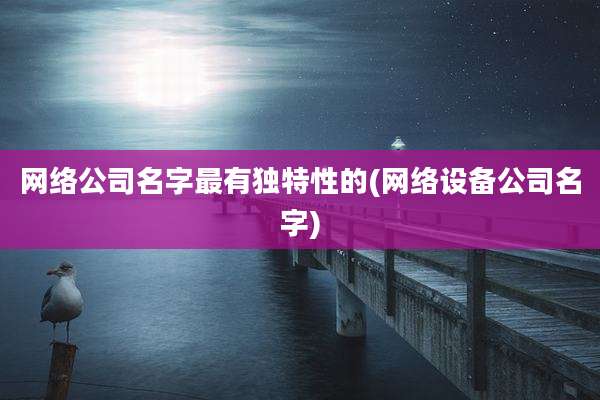 网络公司名字最有独特性的(网络设备公司名字)