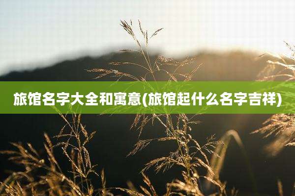 旅馆名字大全和寓意(旅馆起什么名字吉祥)