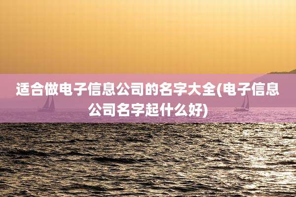 适合做电子信息公司的名字大全(电子信息公司名字起什么好)