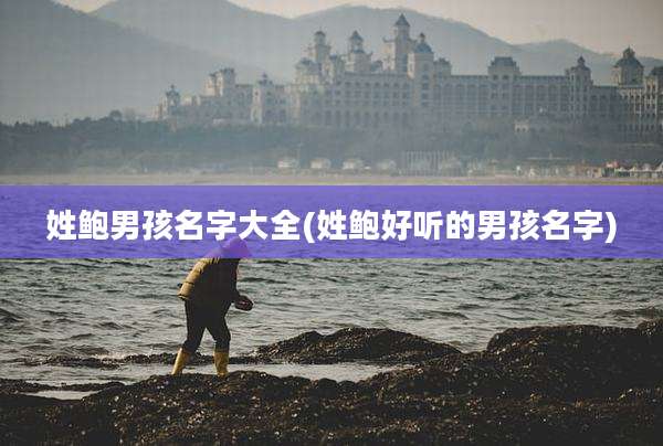 姓鲍男孩名字大全(姓鲍好听的男孩名字)