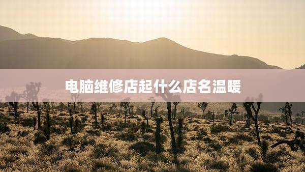 电脑维修店起什么店名温暖