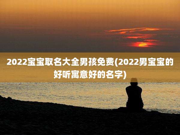 2022宝宝取名大全男孩免费(2022男宝宝的好听寓意好的名字)