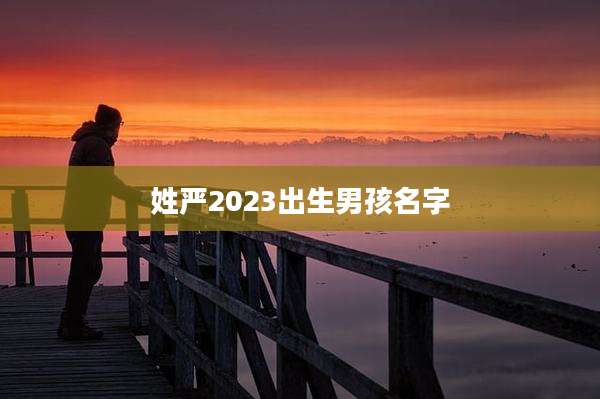 姓严2023出生男孩名字