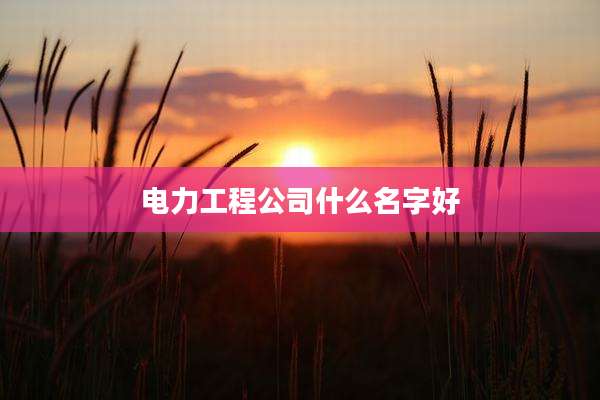 电力工程公司什么名字好