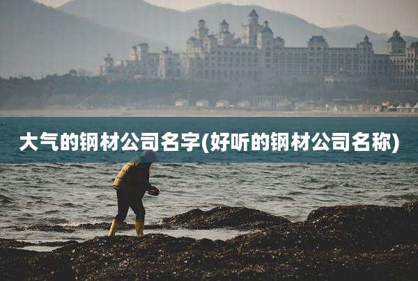 大气的钢材公司名字(好听的钢材公司名称)