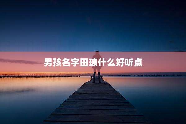 男孩名字田琼什么好听点