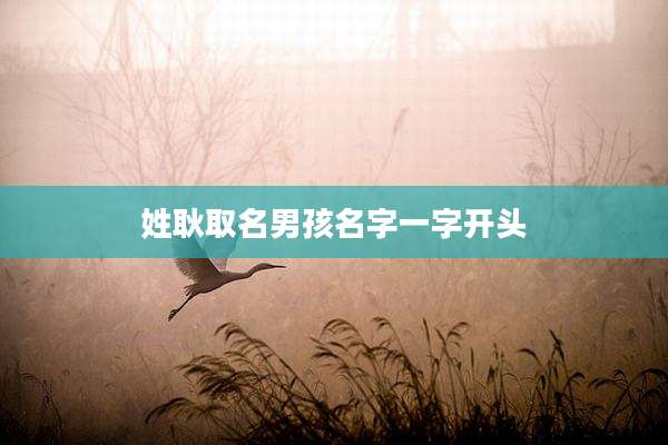 姓耿取名男孩名字一字开头