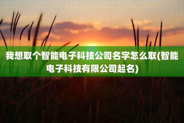 我想取个智能电子科技公司名字怎么取(智能电子科技有限公司起名)