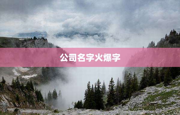 公司名字火爆字