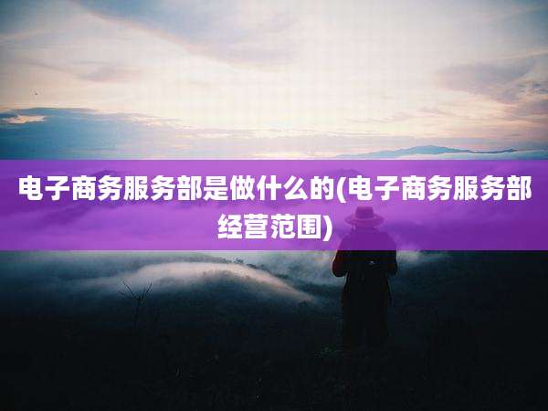电子商务服务部是做什么的(电子商务服务部经营范围)