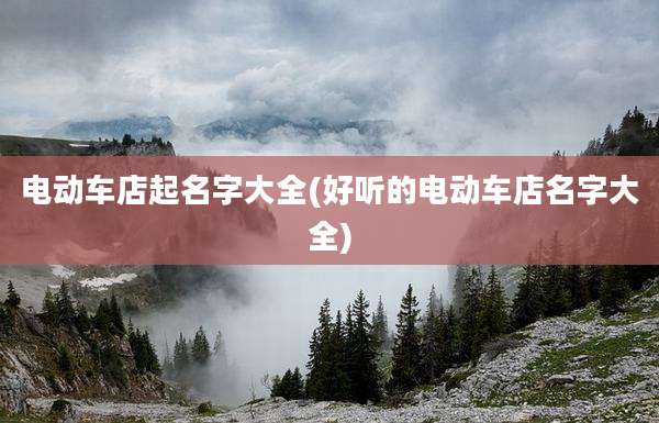 电动车店起名字大全(好听的电动车店名字大全)
