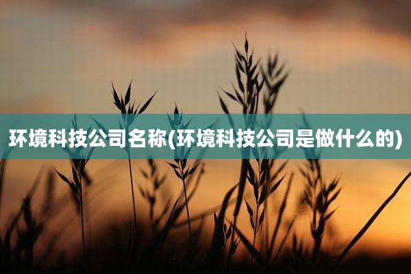 环境科技公司名称(环境科技公司是做什么的)