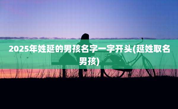 2025年姓延的男孩名字一字开头(延姓取名男孩)