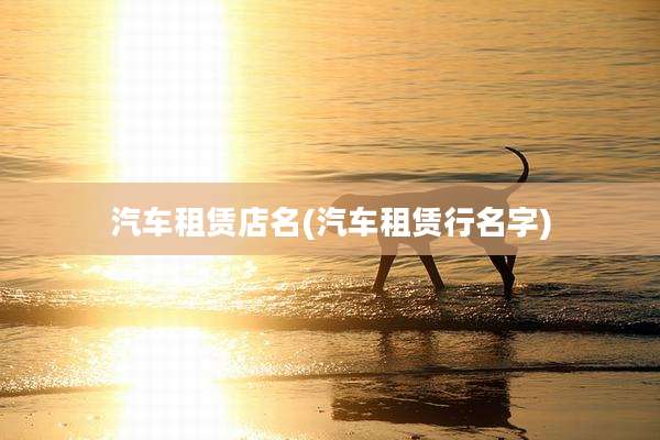汽车租赁店名(汽车租赁行名字)