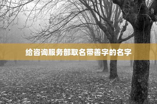 给咨询服务部取名带善字的名字