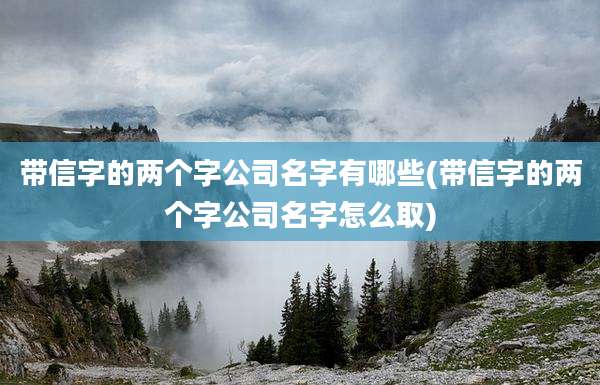带信字的两个字公司名字有哪些(带信字的两个字公司名字怎么取)