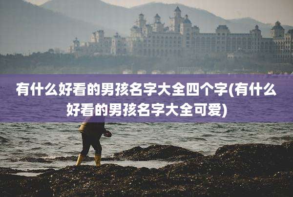 有什么好看的男孩名字大全四个字(有什么好看的男孩名字大全可爱)