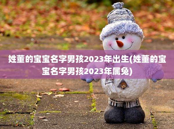 姓董的宝宝名字男孩2023年出生(姓董的宝宝名字男孩2023年属兔)
