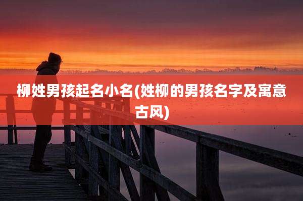 柳姓男孩起名小名(姓柳的男孩名字及寓意古风)