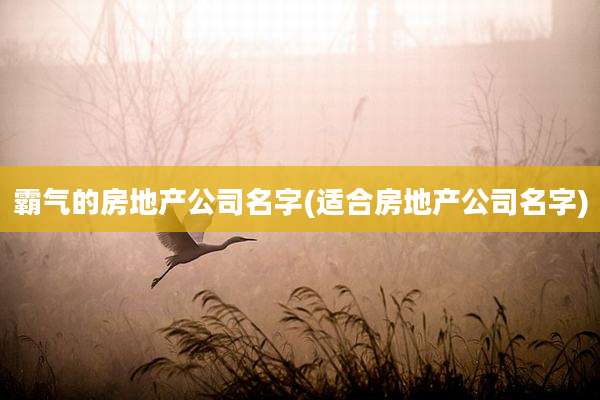 霸气的房地产公司名字(适合房地产公司名字)
