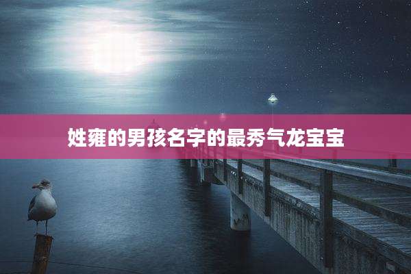 姓雍的男孩名字的最秀气龙宝宝